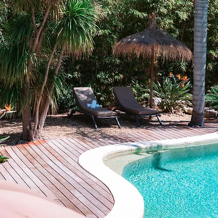 Konukevi St Barth Cannes